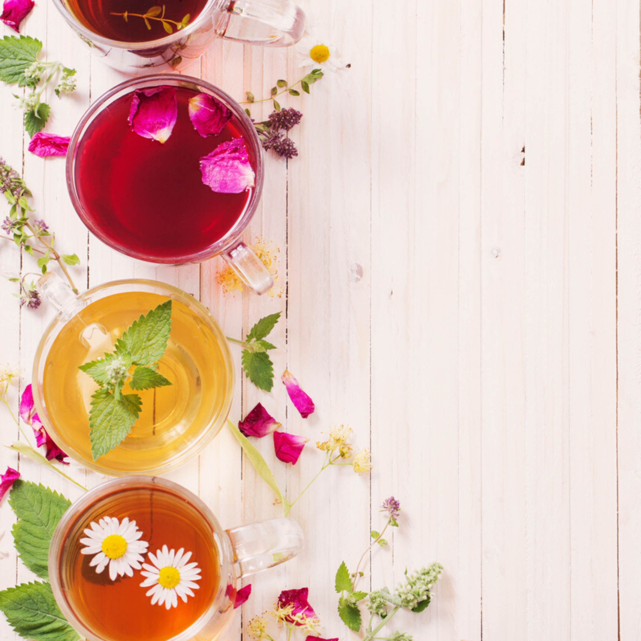 Floral & Fruity Sodas